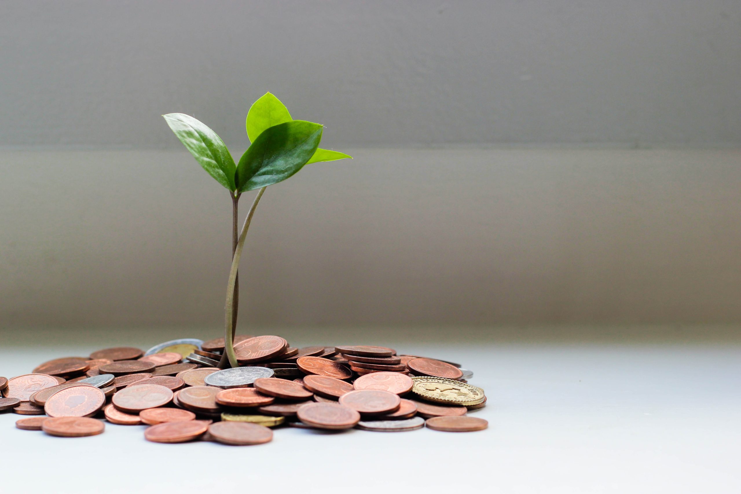 Ask me Anything  With Amir Shevat -Angel Investment