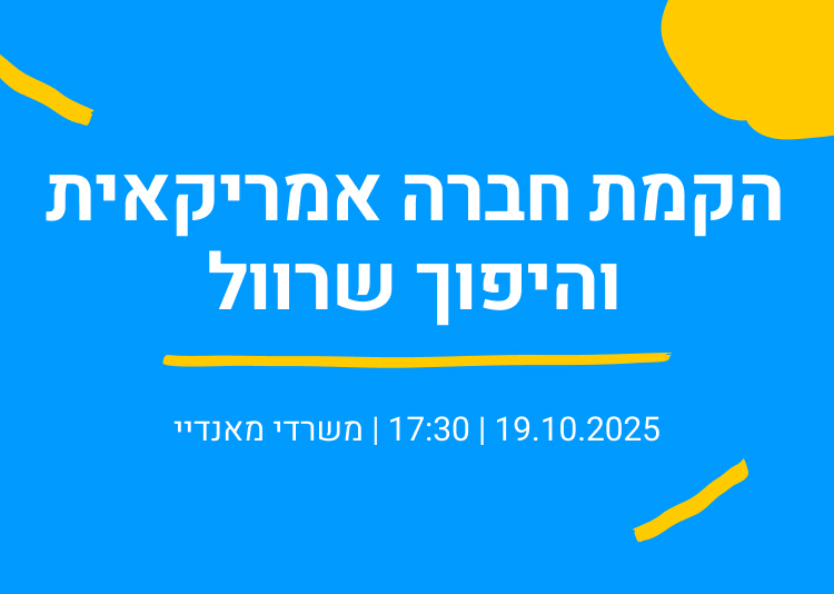 הקמת חברה אמריקאית והיפוך שרוול
