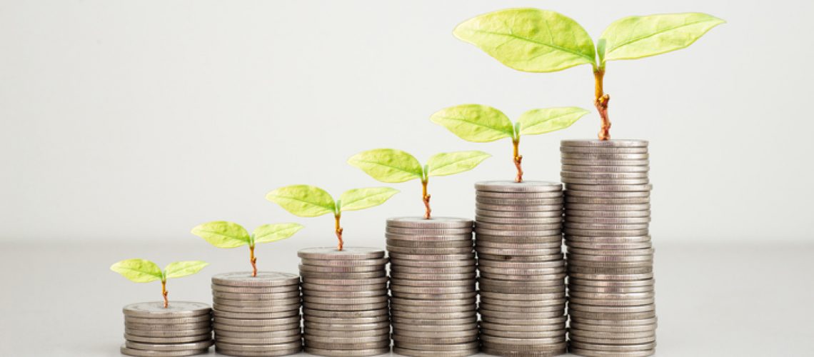 green seed growth on coins stack with white background. money saving. business investment successful growing concept.