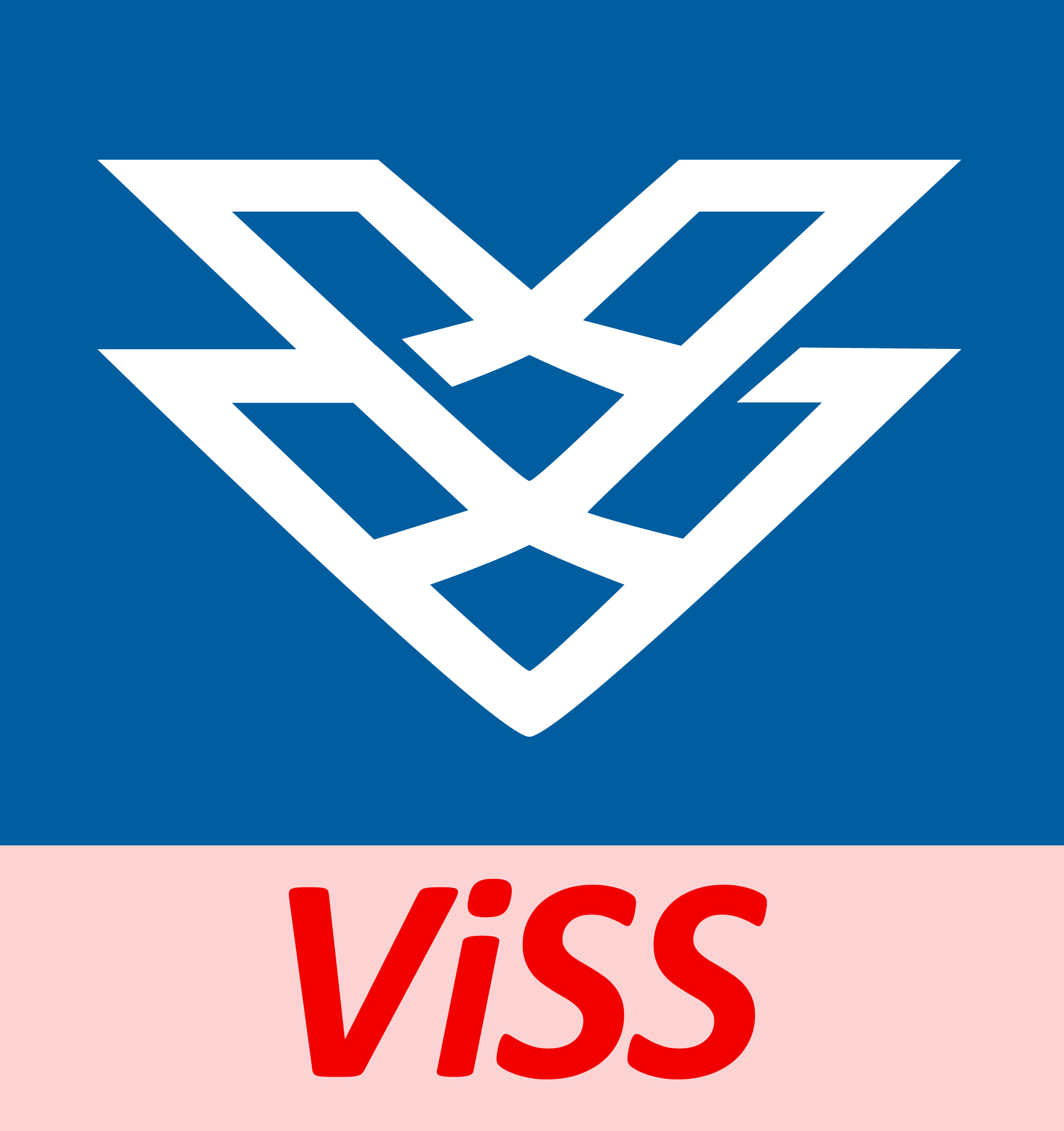 VISS