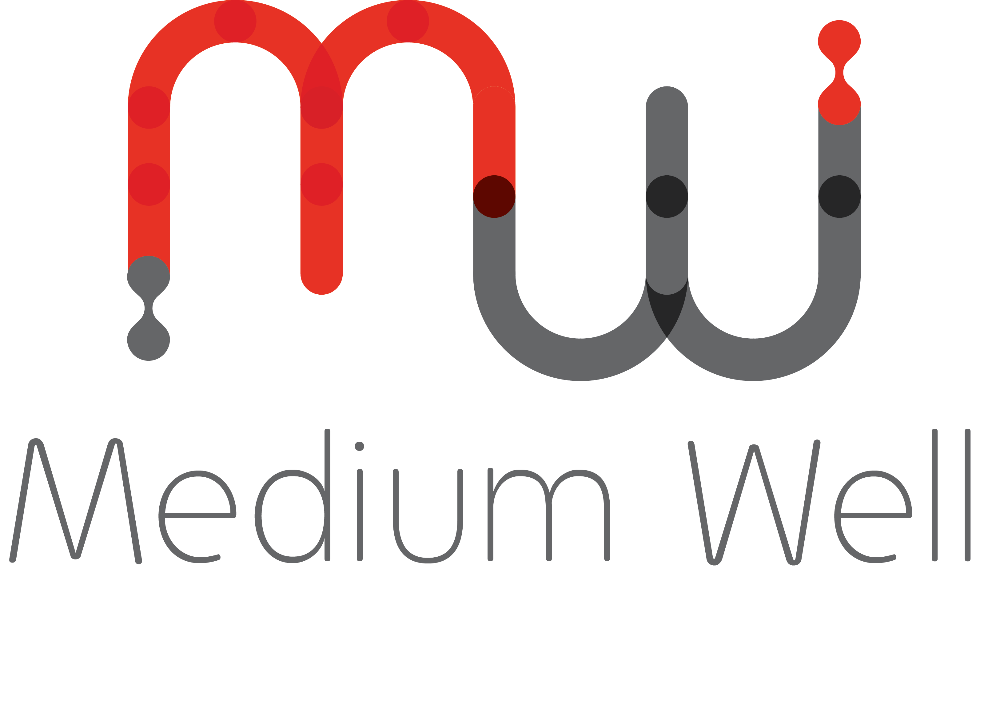 Medium Well Technological Solutions Ltd